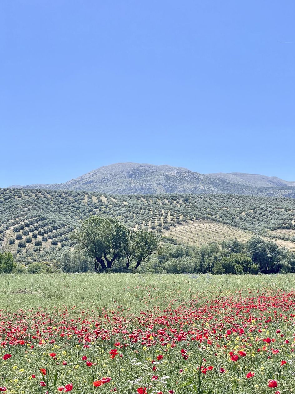 Stuart Tolley's new life in Spain